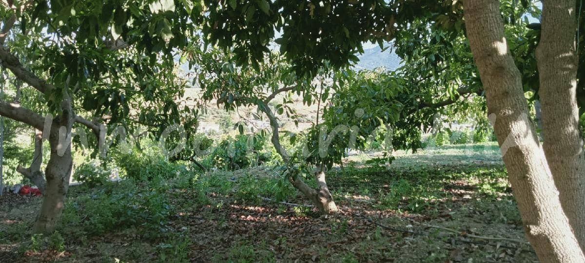 2 Zimmer Finca/Landgut zu verkaufen in Alhaurin de la Torre - 312.000 € (Ref: 9956381)