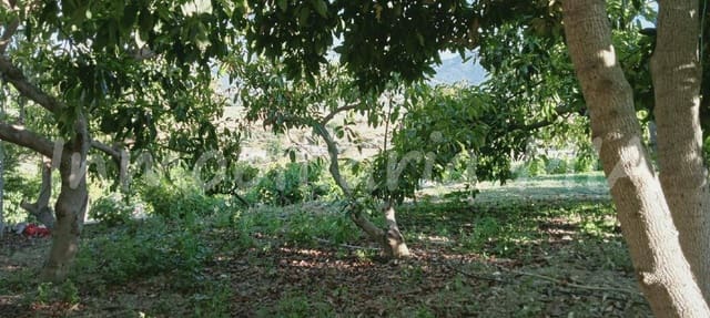 2 Zimmer Finca/Landgut zu verkaufen in Alhaurín de la Torre - 312.000 € (Ref: 9956381)
