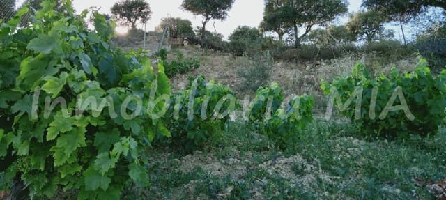 2 Zimmer Finca/Landgut zu verkaufen in Alhaurín de la Torre - 312.000 € (Ref: 9956381)