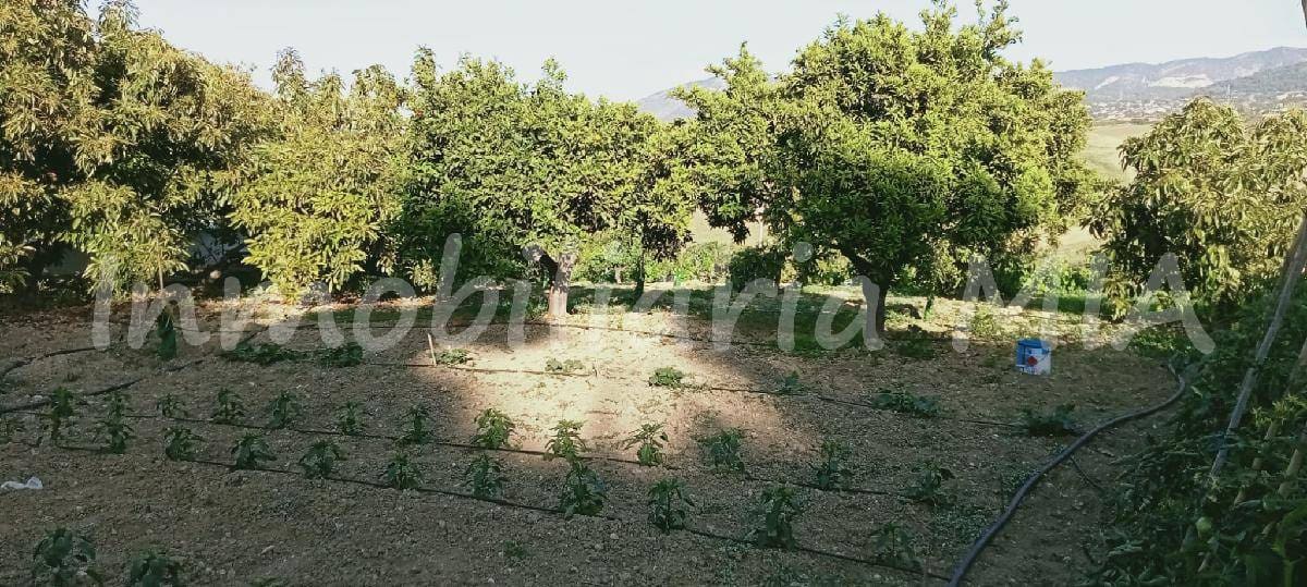 2 Zimmer Finca/Landgut zu verkaufen in Alhaurin de la Torre - 312.000 € (Ref: 9956381)