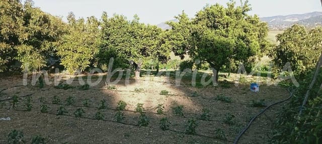 2 Zimmer Finca/Landgut zu verkaufen in Alhaurín de la Torre - 312.000 € (Ref: 9956381)