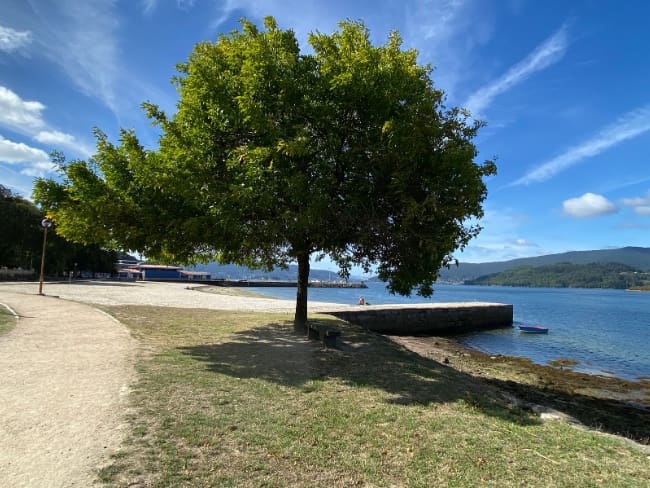 2 soveværelse Penthouse til salg i Arcade med garage - € 290.000 (Ref: 8828394)