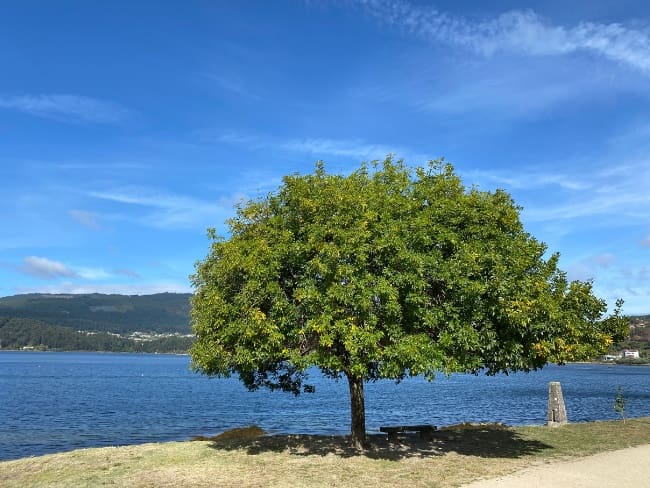 3 soveværelse Lejlighed til salg i Arcade med garage - € 290.000 (Ref: 8828395)