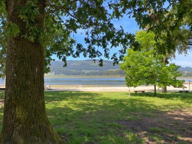 2 soverom Leilighet til salgs i Arcade - € 250 000 (Ref: 8828483)