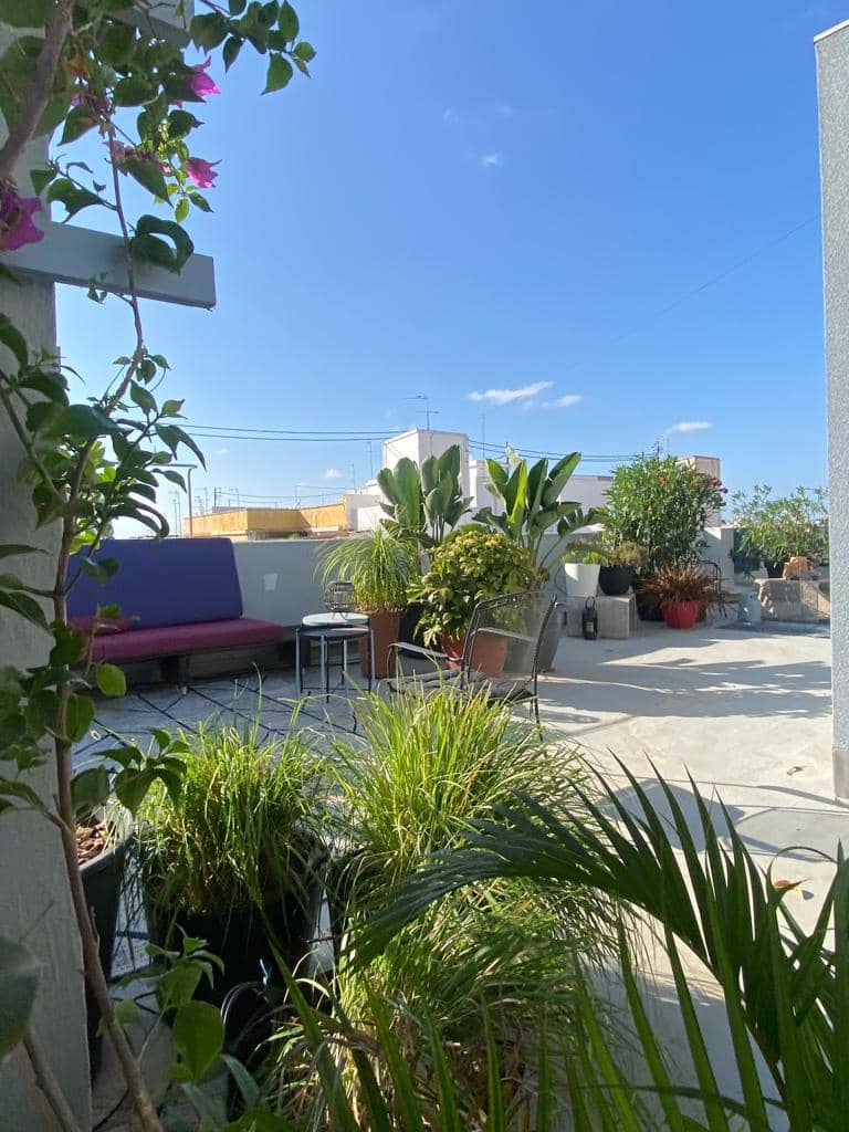 1 bedroom Apartment for rent in Valencia city - € 1,800 (Ref: 8897754)