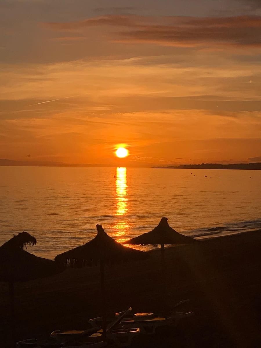 Erhverv til salg i Marbella med garage - € 350.000 (Ref: 9077153)