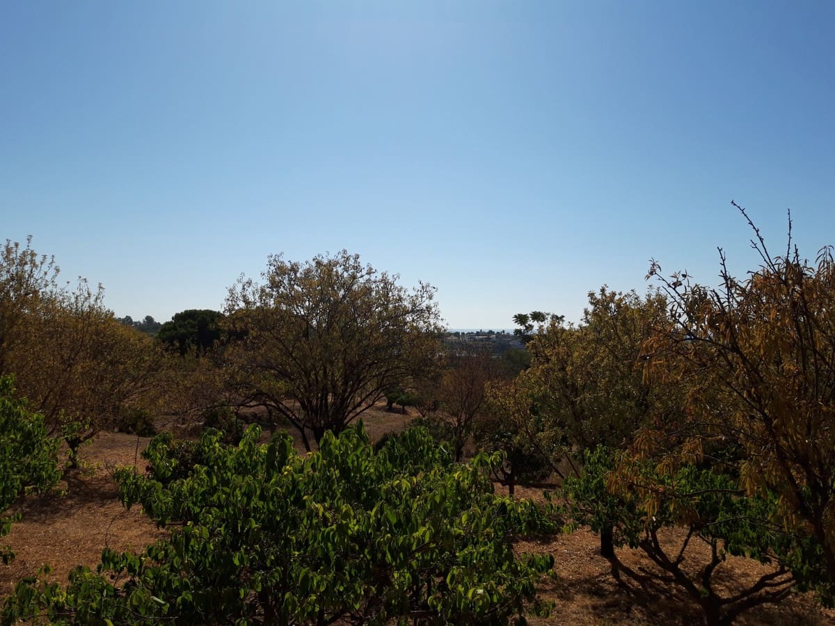 4 soveværelse Finca/Landehus til salg i Estepona med swimmingpool garage - € 1.700.000 (Ref: 9077158)