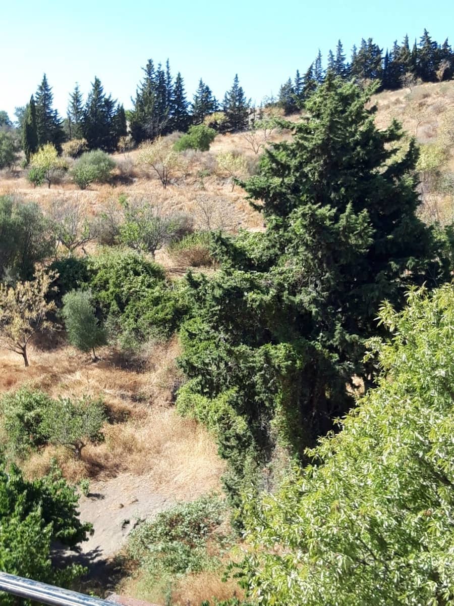 4 soveværelse Finca/Landehus til salg i Estepona med swimmingpool garage - € 1.700.000 (Ref: 9077158)