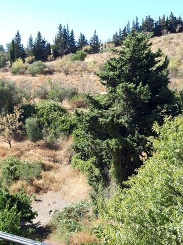 4 soveværelse Finca/Landehus til salg i Estepona med swimmingpool garage - € 1.700.000 (Ref: 9077158)