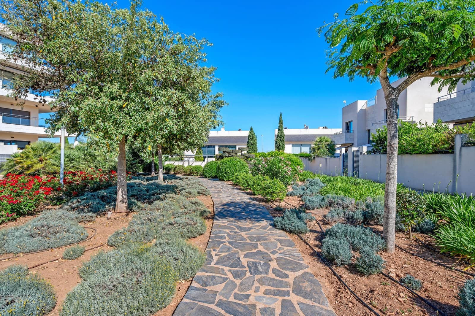 3 soveværelse Lejlighed til salg i Los Dolses - € 369.000 (Ref: 9004647)