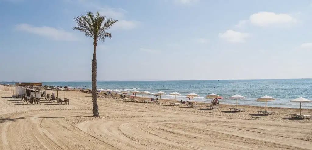 3 slaapkamer Appartement te koop in Guardamar del Segura met zwembad garage - € 399.500 (Ref: 10043416)
