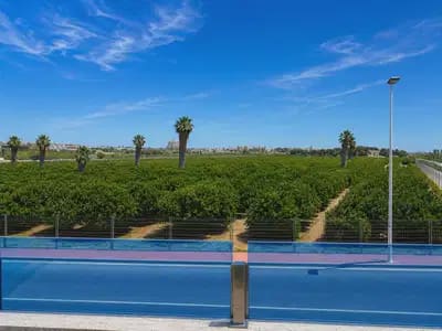 3 Zimmer Haus zu verkaufen in Los Balcones mit Pool - 429.000 € (Ref: 10046714)