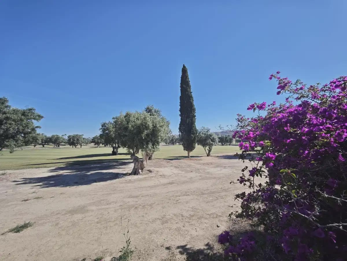3 camera da letto Villa in vendita in Algorfa con piscina - 449.995 € (Rif: 10046715)