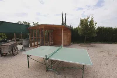 Finca/Casa Rural de 5 habitaciones en Crevillente / Crevillent en venta - 479.000 € (Ref: 10049768)