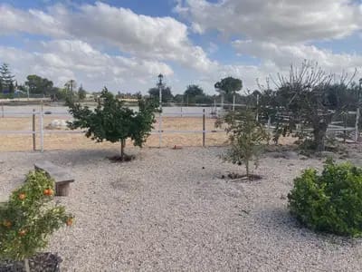 Finca/Casa Rural de 5 habitaciones en Crevillente / Crevillent en venta - 479.000 € (Ref: 10049768)