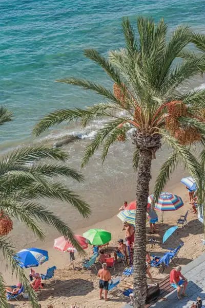 3 camera da letto Appartamento sulla Spiaggia in vendita in Torrevieja con garage - 475.000 € (Rif: 10049770)