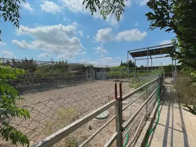 Finca/Casa Rural de 4 habitaciones en La Marina en venta - 476.000 € (Ref: 10049780)