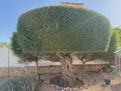 3 makuuhuone Huvila myytävänä paikassa San Miguel de Salinas - 525 000 € (Ref: 10050643)