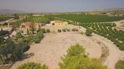 3 bedroom Villa for sale in Albatera - € 325,000 (Ref: 10064992)