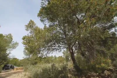 1 chambre Finca/Maison de Campagne à vendre à Monovar / Monover - 349 995 € (Ref: 10072936)