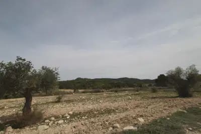1 chambre Finca/Maison de Campagne à vendre à Monovar / Monover - 349 995 € (Ref: 10072936)
