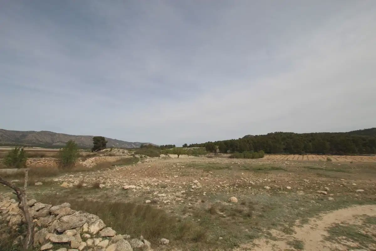 1 quarto Quinta/Casa Rural para venda em Monovar / Monover com garagem - 349 995 € (Ref: 10147402)