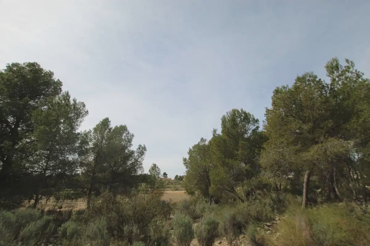 1 quarto Quinta/Casa Rural para venda em Monovar / Monover com garagem - 349 995 € (Ref: 10147402)