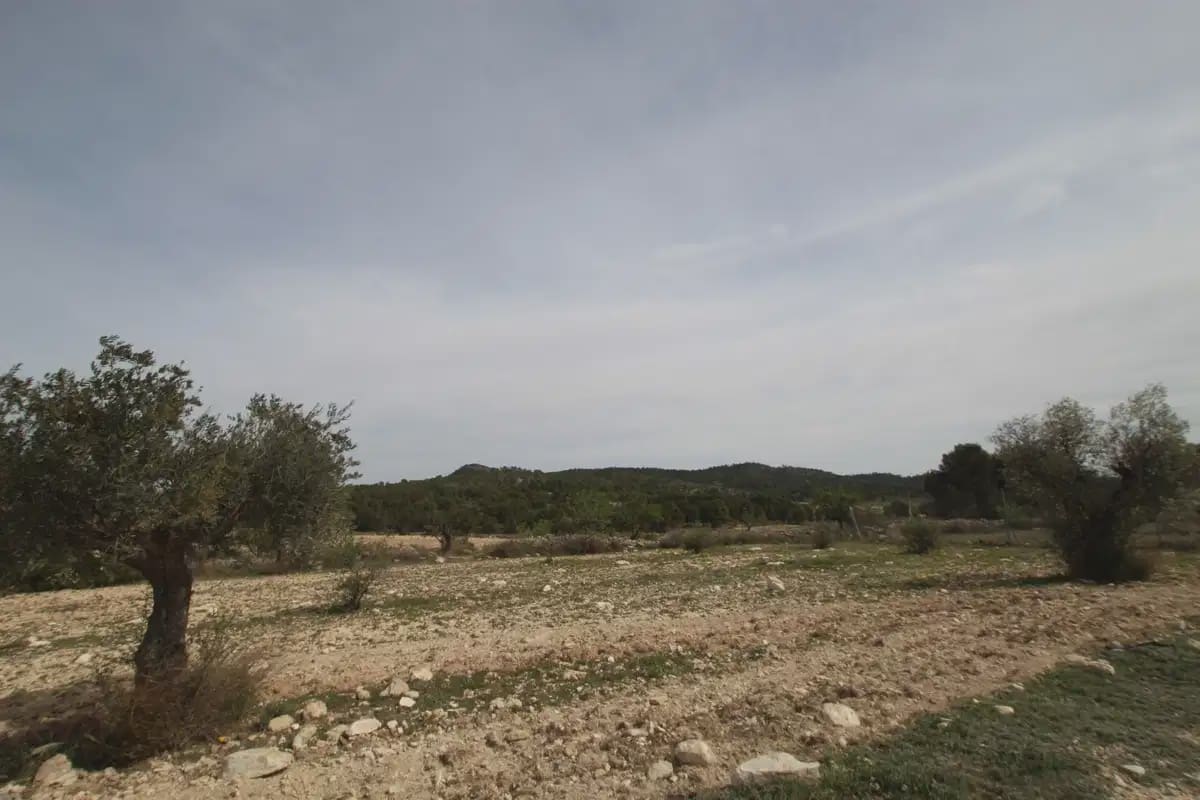 1 quarto Quinta/Casa Rural para venda em Monovar / Monover com garagem - 349 995 € (Ref: 10147402)