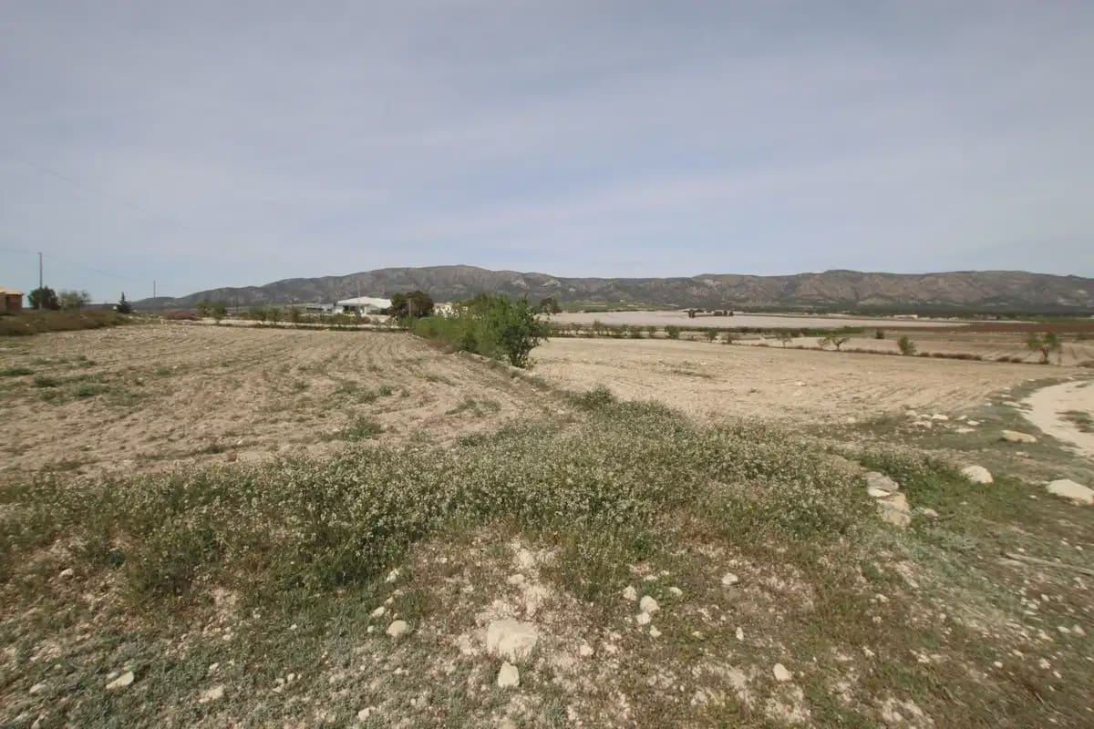 1 quarto Quinta/Casa Rural para venda em Monovar / Monover com garagem - 349 995 € (Ref: 10147402)