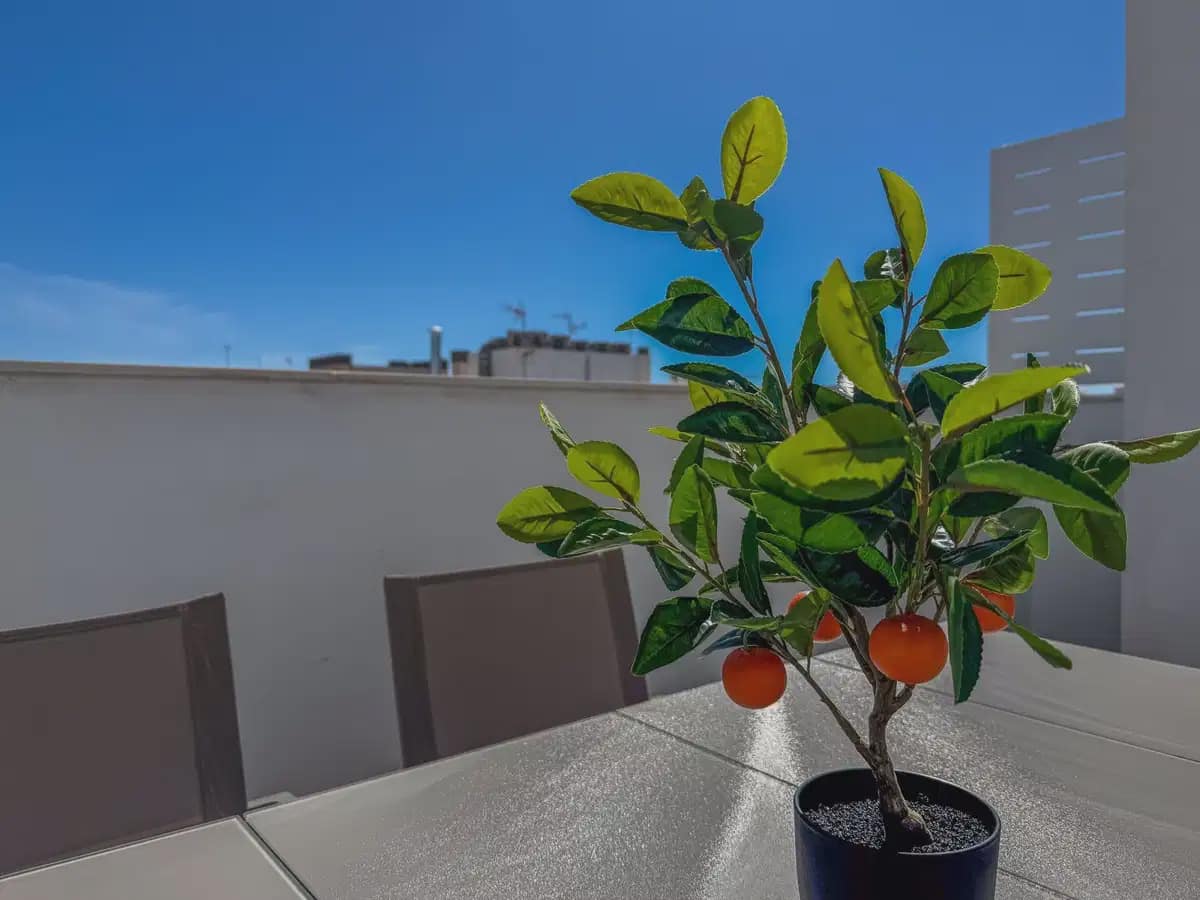 3 soveværelse Lejlighed til salg i Torrevieja med swimmingpool garage - € 379.000 (Ref: 10153263)