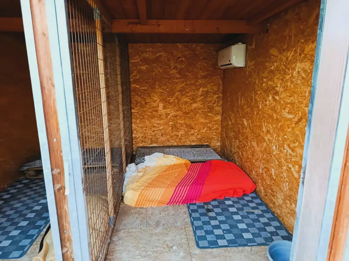 3 soveværelse Finca/Landehus til salg i Pinoso med swimmingpool garage - € 299.995 (Ref: 10163694)