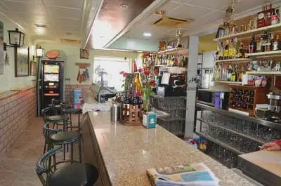 1 Zimmer Bar/Restaurant zu verkaufen in La Torreta, Torrevieja - 295.000 € (Ref: 10163757)