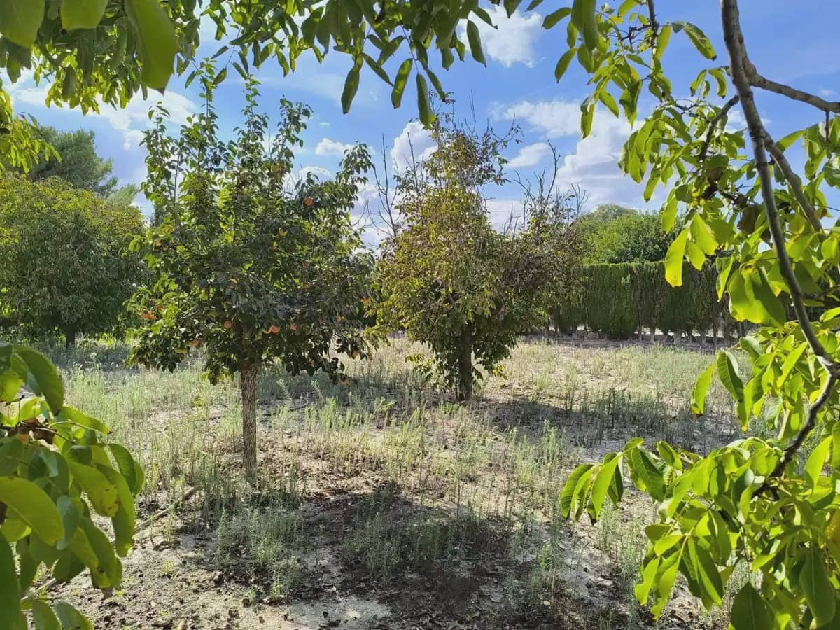 7 slaapkamer Finca/Landhuis te koop in Villena met zwembad garage - € 290.000 (Ref: 10182329)
