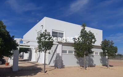 5 soveværelse Virksomhed til salg i Crevillente / Crevillent - € 390.000 (Ref: 9070800)