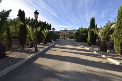 6 bedroom Finca/Country House for sale in La Matanza, Orihuela - € 800,000 (Ref: 9071034)