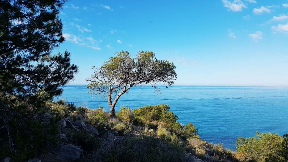 Apartamento de 2 habitaciones en La Villajoyosa / Vila Joiosa en venta - 465.000 € (Ref: 9293390)