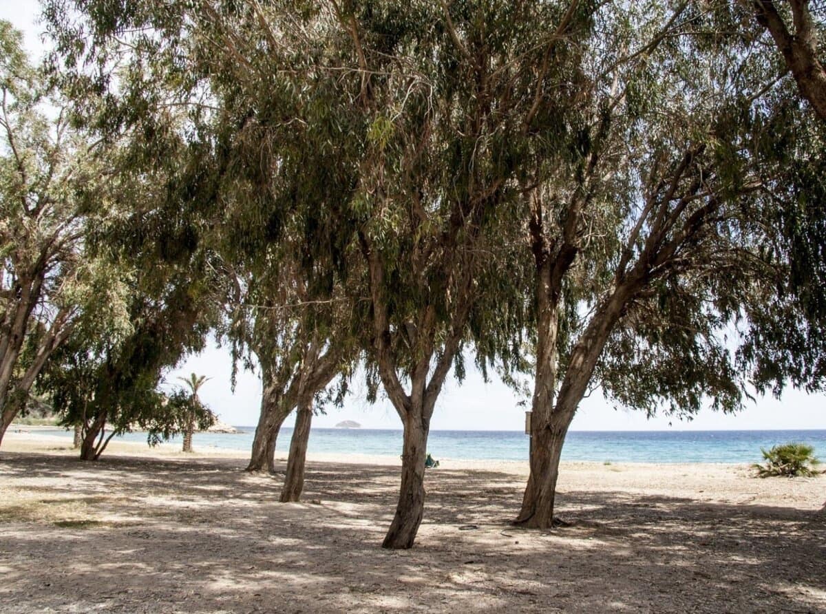 Apartamento de 2 habitaciones en La Villajoyosa / Vila Joiosa en venta - 465.000 € (Ref: 9293390)