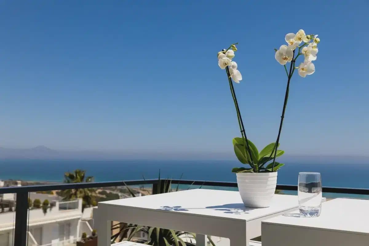 3 soveværelse Lejlighed til salg i Santa Pola med swimmingpool garage - € 380.000 (Ref: 9824471)