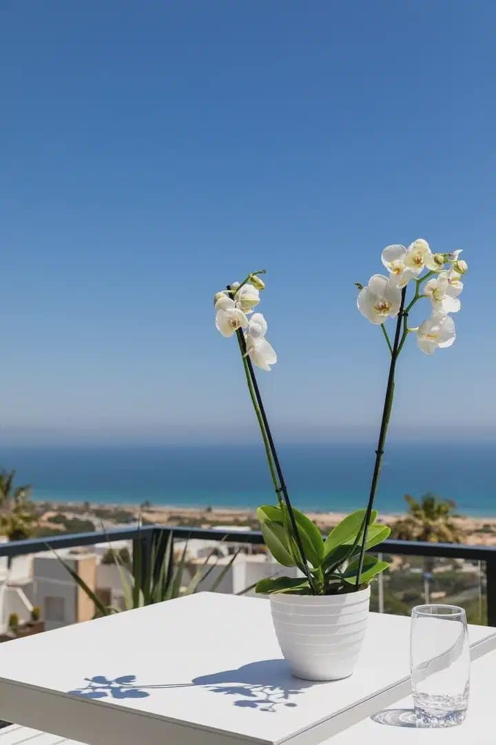 3 soveværelse Lejlighed til salg i Santa Pola med swimmingpool garage - € 380.000 (Ref: 9824471)