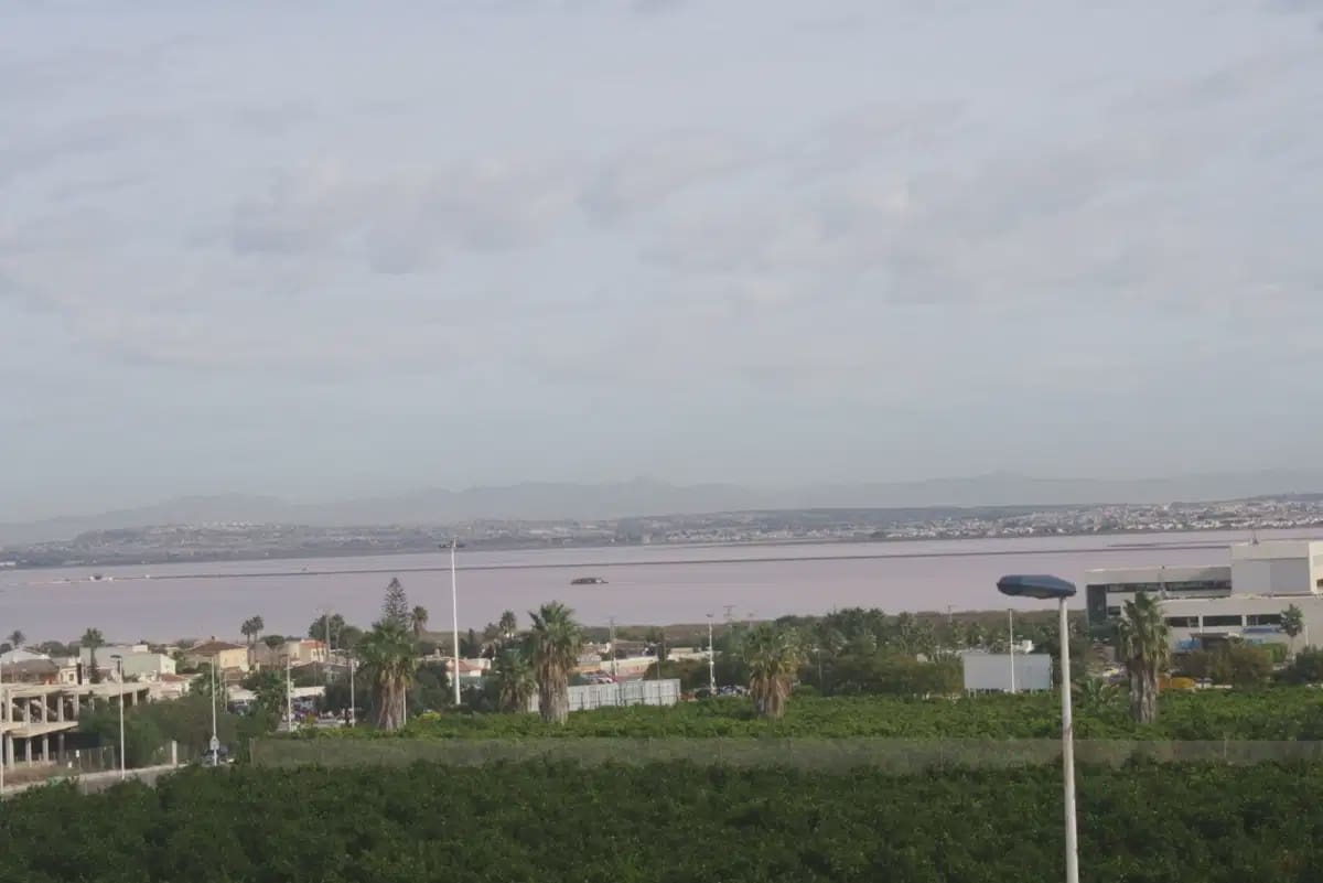 2 makuuhuone Omakotitalo myytävänä paikassa Torrevieja - 330 000 € (Ref: 9830688)