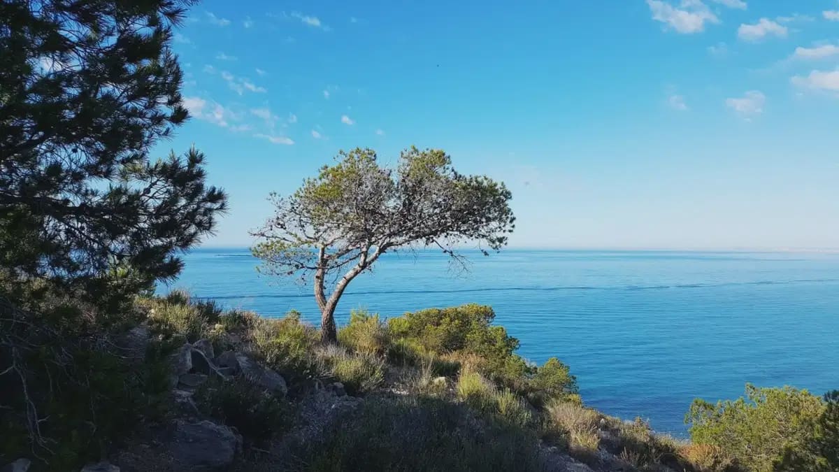 1 soverom Leilighet til salgs i La Villajoyosa / Vila Joiosa - € 340 000 (Ref: 9832038)