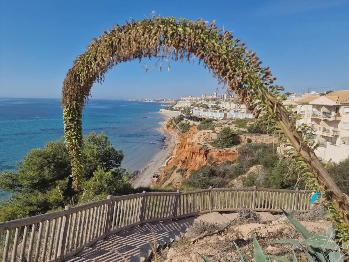 3 soveværelse Lejlighed til salg i Cabo Roig - € 350.000 (Ref: 9844866)