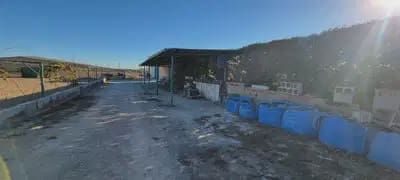 1 sypialnia Finka/Dom wiejski na sprzedaż w San Miguel de Salinas - 370 000 € (Ref: 9844869)