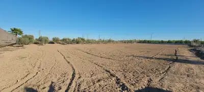 1 sypialnia Finka/Dom wiejski na sprzedaż w San Miguel de Salinas - 370 000 € (Ref: 9844869)