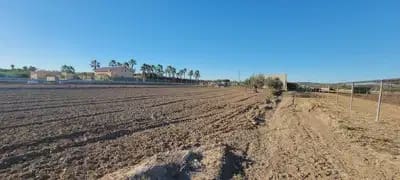 1 sypialnia Finka/Dom wiejski na sprzedaż w San Miguel de Salinas - 370 000 € (Ref: 9844869)