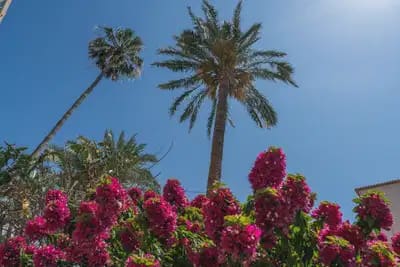 3 soveværelse Strandlejlighed til salg i Javea / Xabia med garage - € 375.000 (Ref: 9844873)