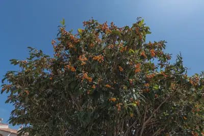3 soveværelse Strandlejlighed til salg i Javea / Xabia med garage - € 375.000 (Ref: 9844873)