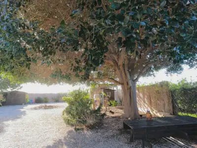 3 camera da letto Finca/Casa di Campagna in vendita in Orihuela con piscina - 375.000 € (Rif: 9844891)