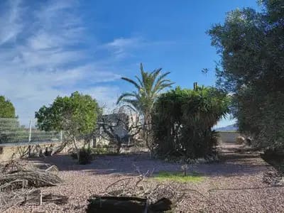 3 sypialnia Finka/Dom wiejski na sprzedaż w La Murada, Orihuela - 350 000 € (Ref: 9872128)