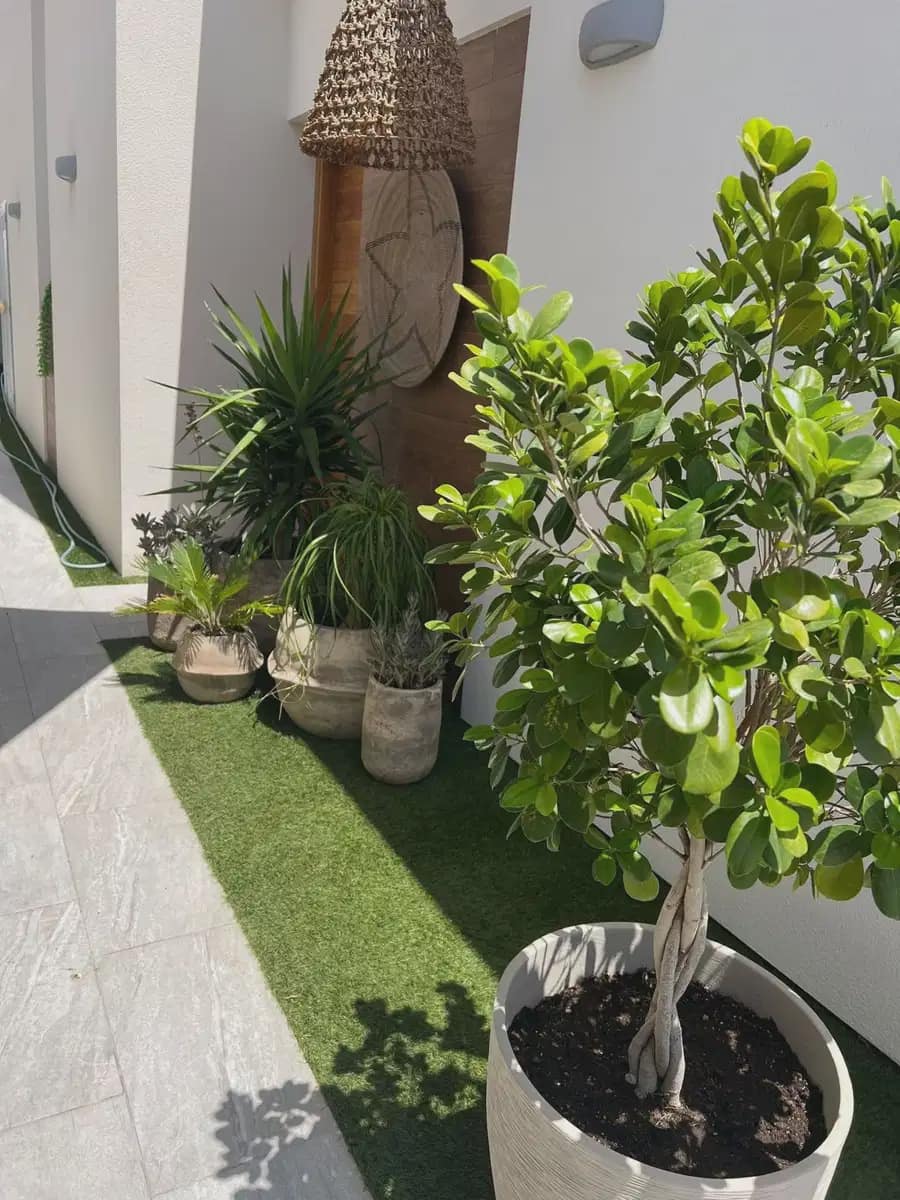 Pareado de 3 habitaciones en Daya Vieja en venta - 359.000 € (Ref: 9872142)